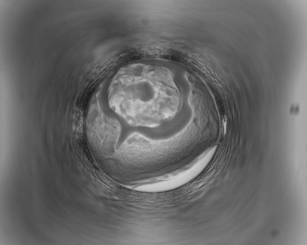 X0000099231251200805081549