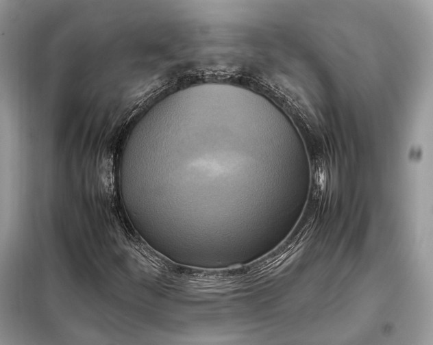 X0000099231252200805081549