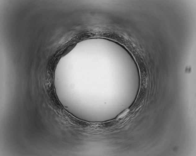 X0000099231253200805081549