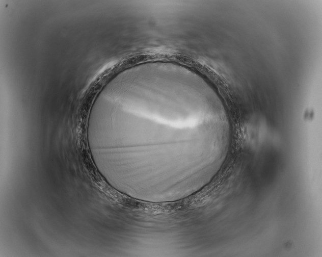 X0000099231254200805081549