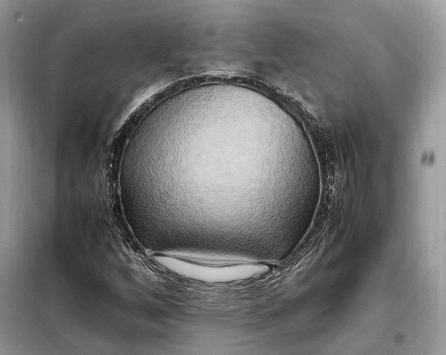 X0000099231256200805081549