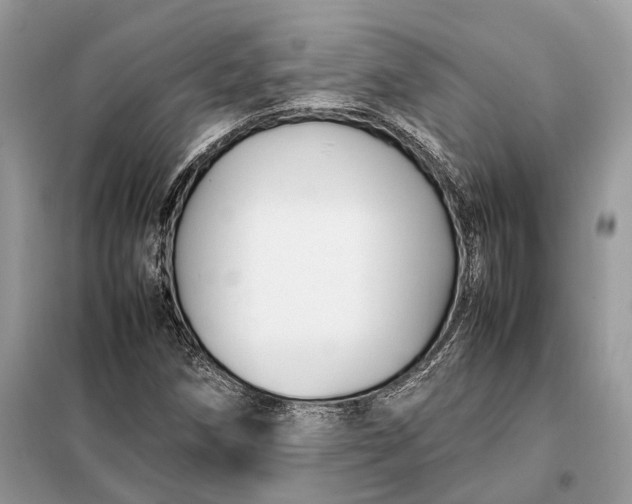 X0000099231258200805081549