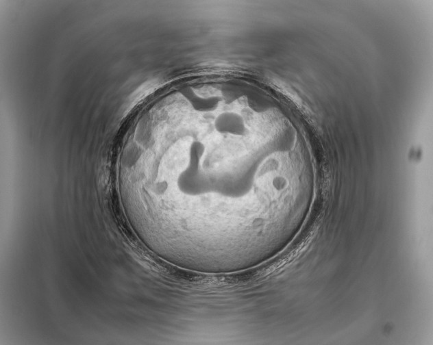 X0000099231259200805081549