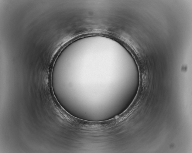 X0000099231260200805081549