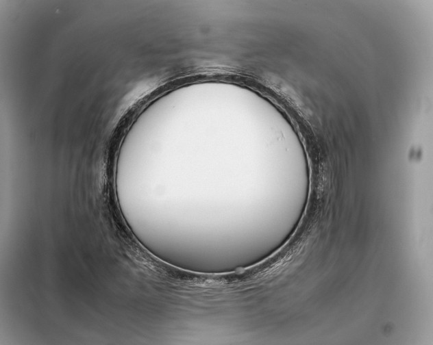 X0000099231261200805081549