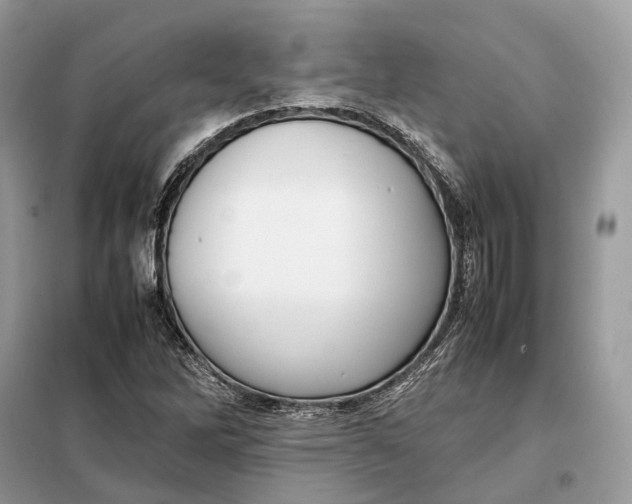 X0000099231262200805081549