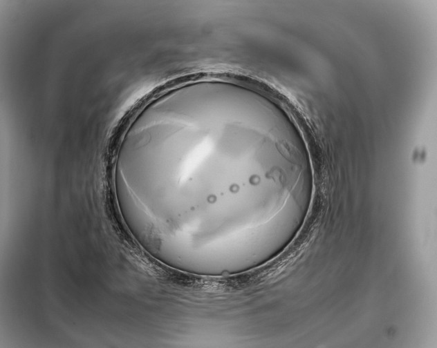 X0000099231263200805081549