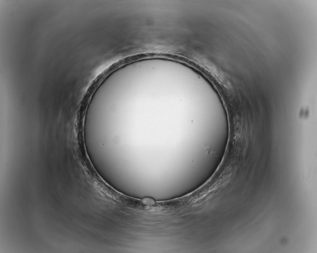 X0000099231264200805081549