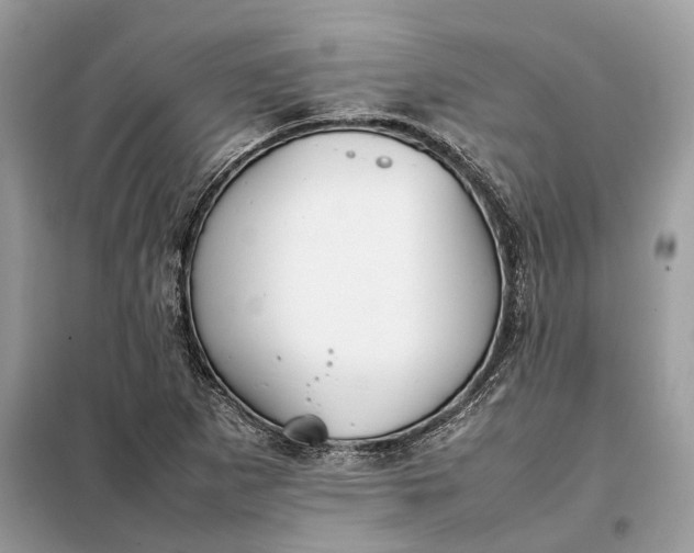 X0000099231265200805081549