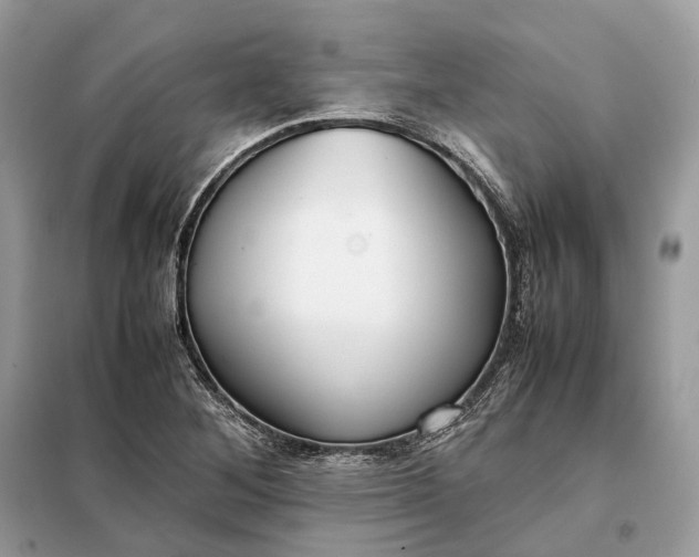 X0000099231268200805081549