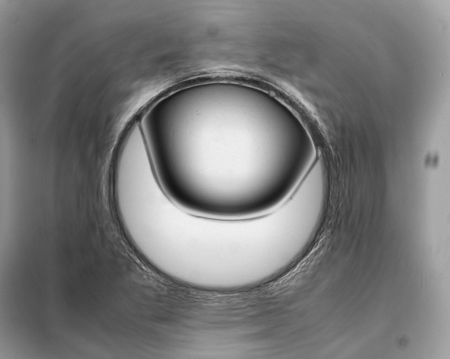 X0000099231269200805081549