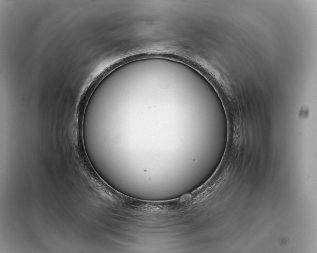 X0000099231270200805081549