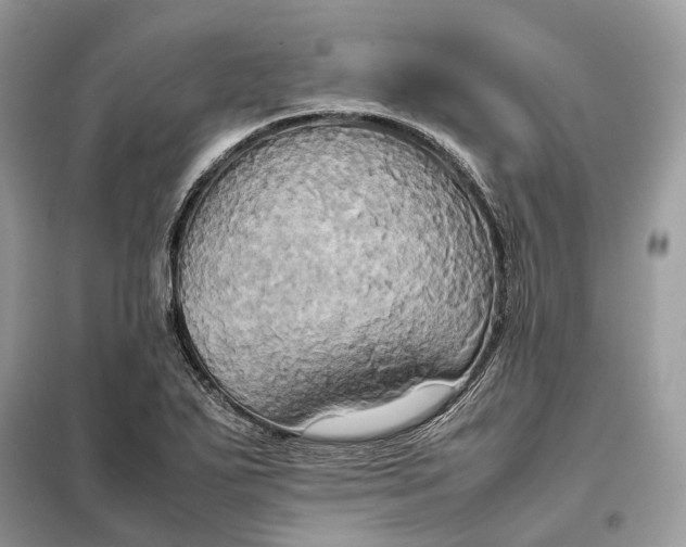 X0000099231271200805081548