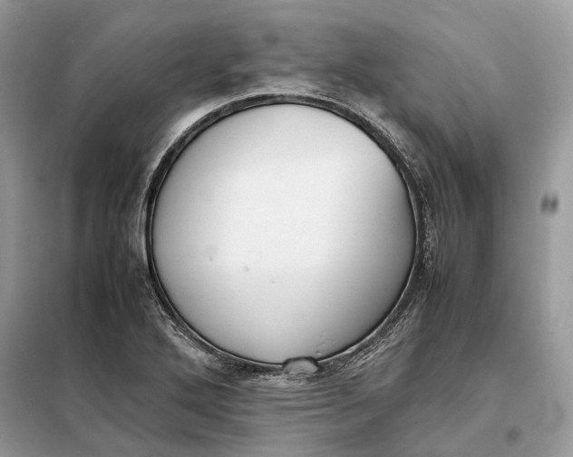 X0000099231272200805081548