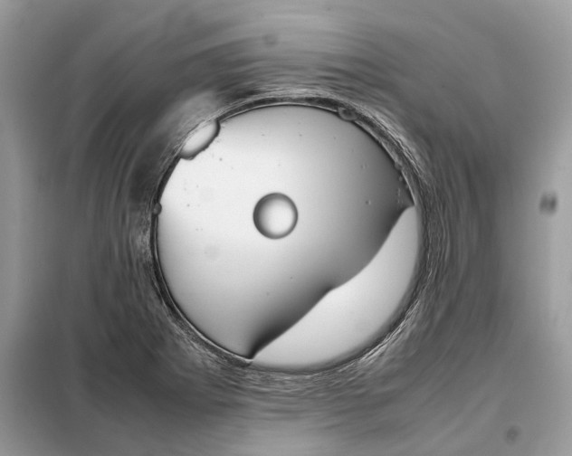 X0000099231273200805081548