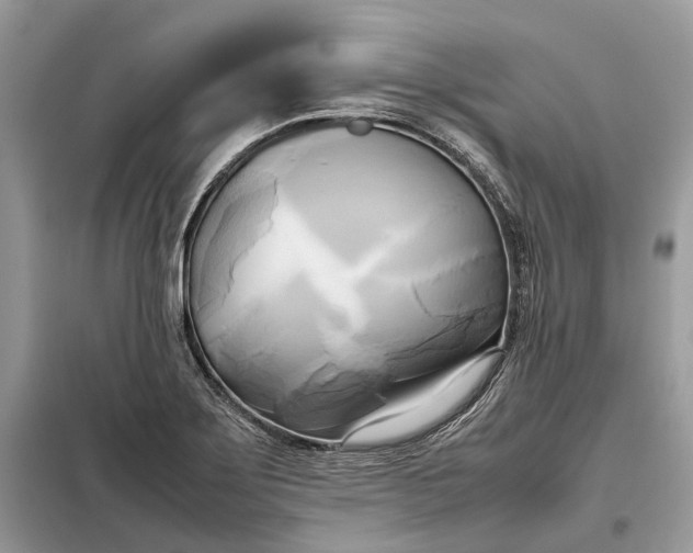 X0000099231275200805081548