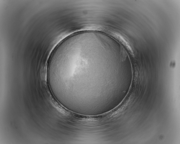 X0000099231276200805081548