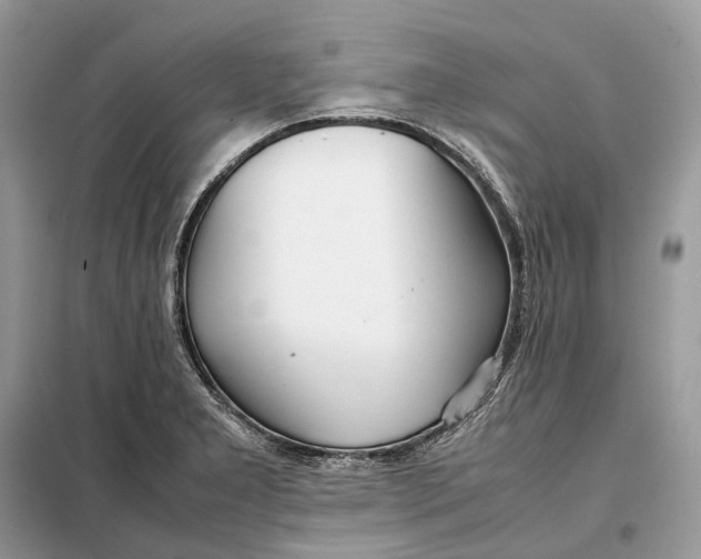 X0000099231277200805081548