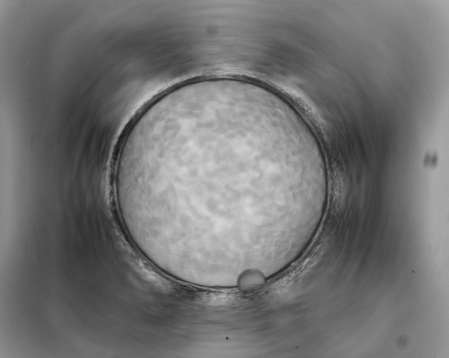 X0000099231278200805081548