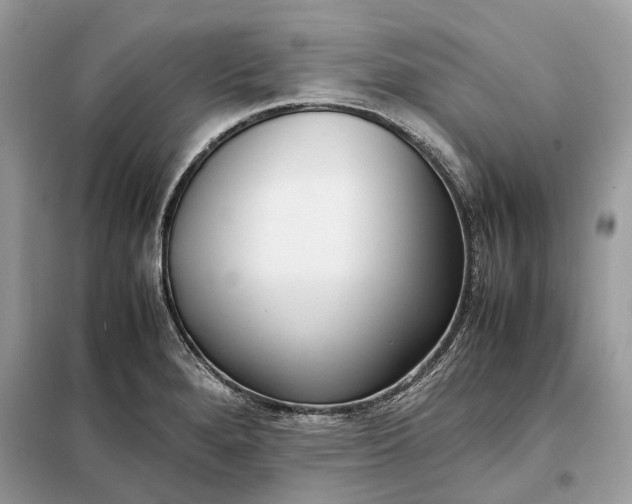 X0000099231280200805081548