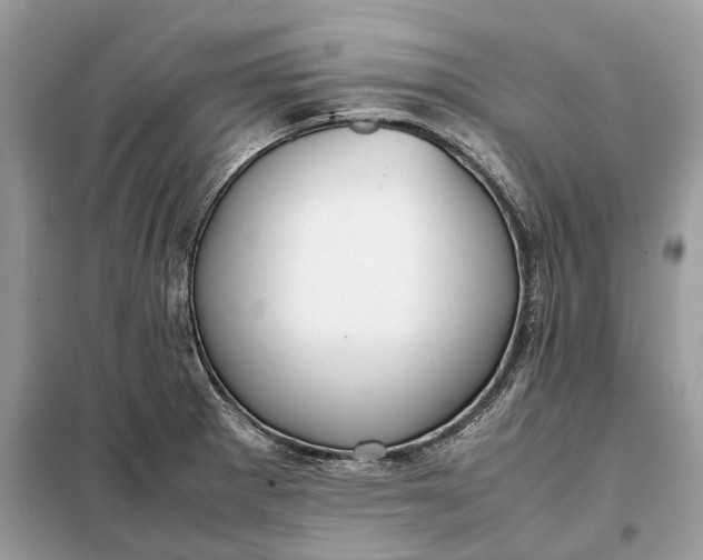 X0000099231281200805081548