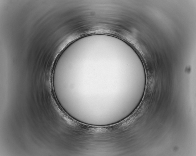 X0000099231282200805081548