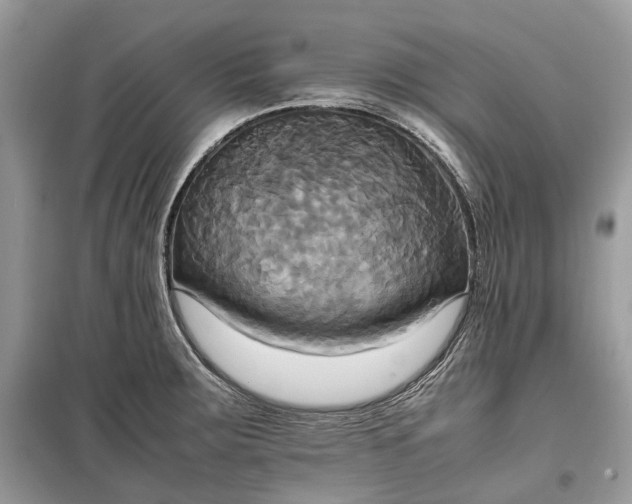 X0000099231283200805081548