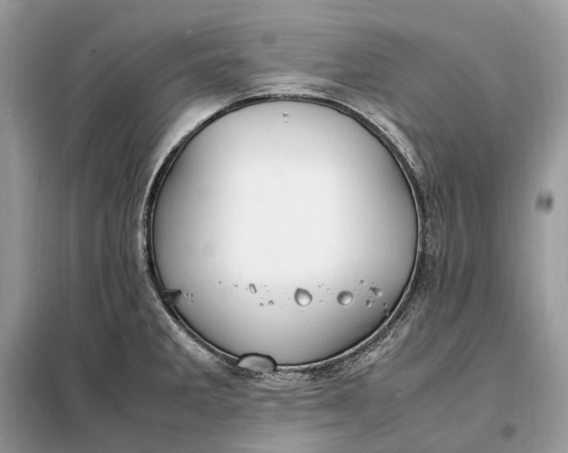 X0000099231285200805081548