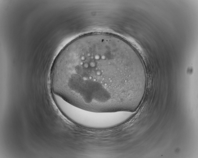 X0000099231287200805081548