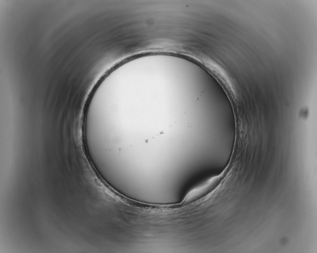 X0000099231288200805081548