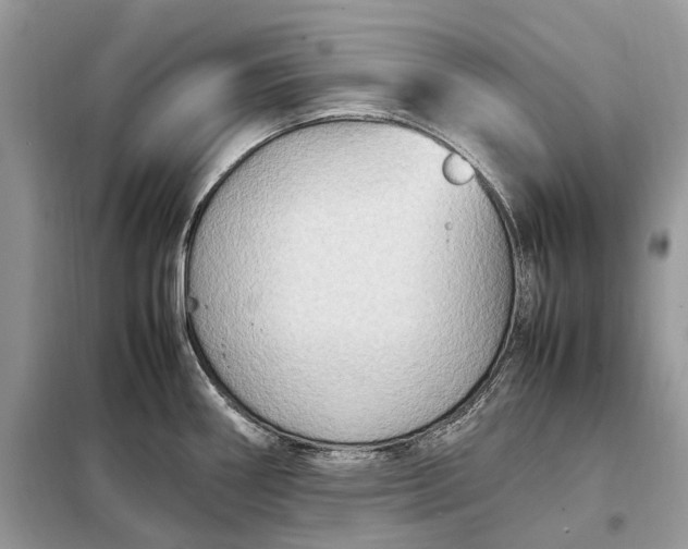 X0000099231290200805081548