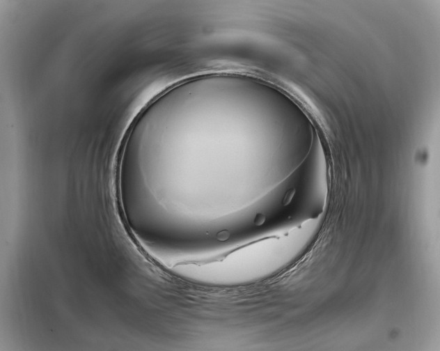 X0000099231291200805081548