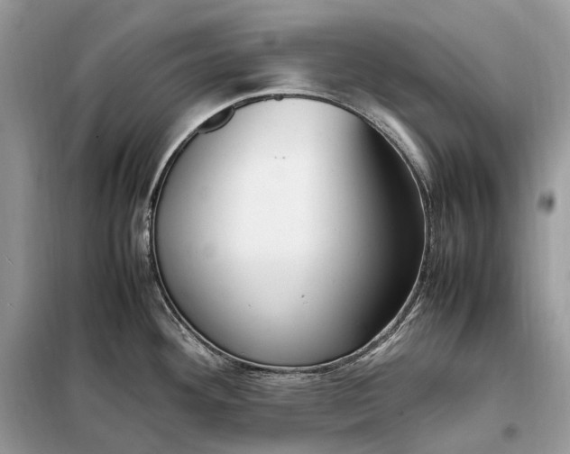 X0000099231292200805081548