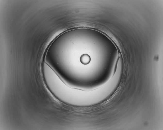 X0000099231293200805081548