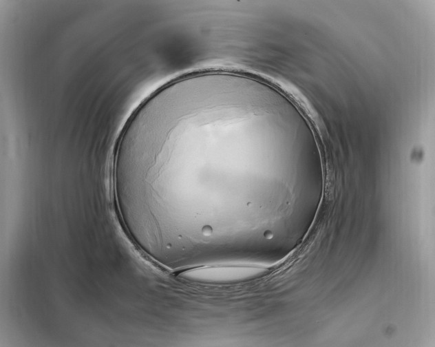 X0000099231295200805081548