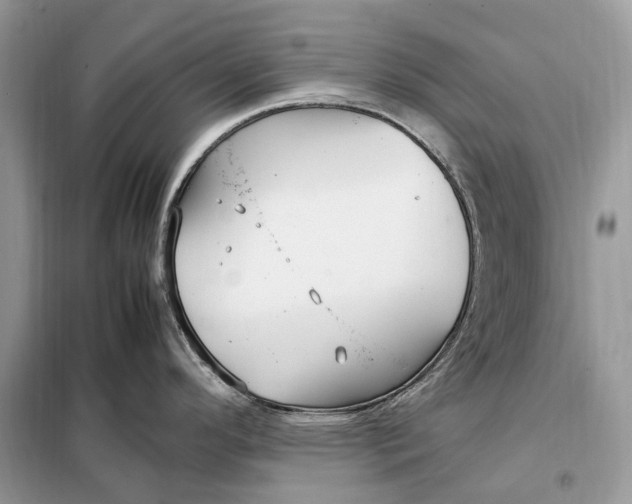 X0000099231296200805081548