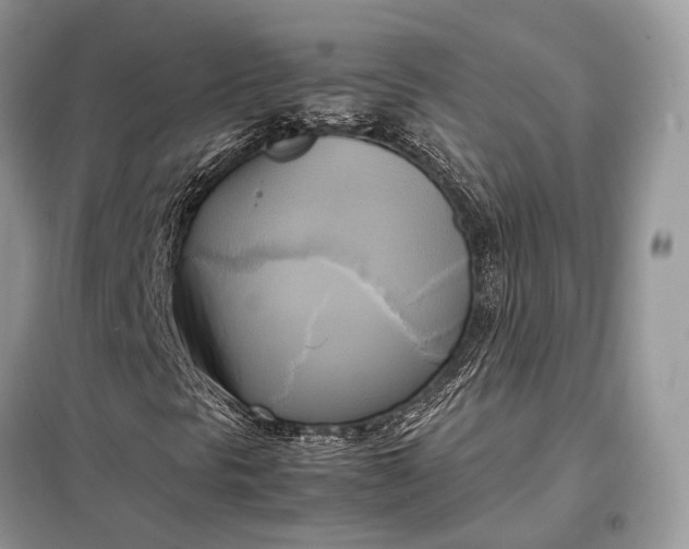 X0000099231297200805081547