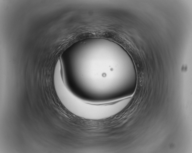 X0000099231298200805081548