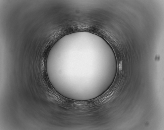 X0000099231299200805081548