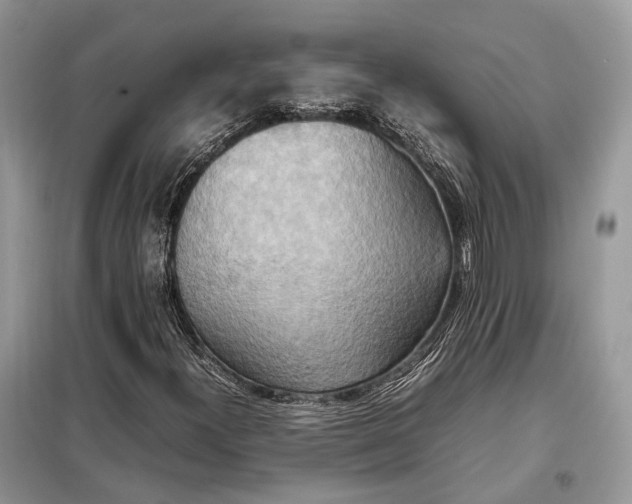 X0000099231300200805081548