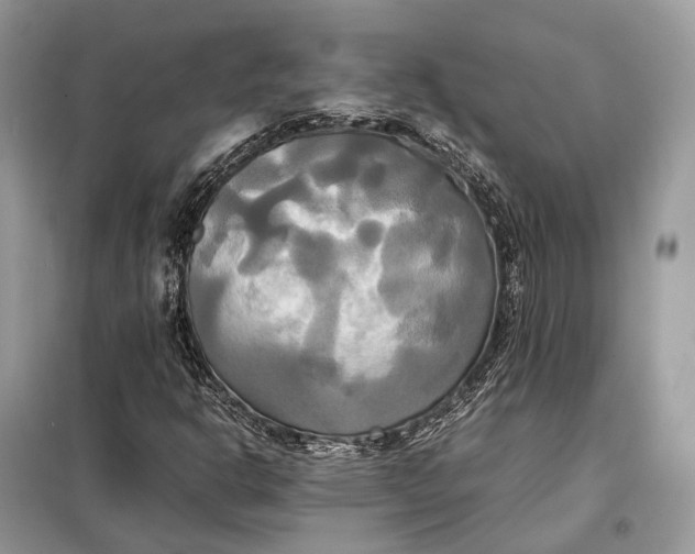 X0000099231302200805081548