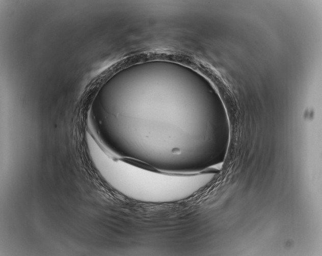 X0000099231303200805081548