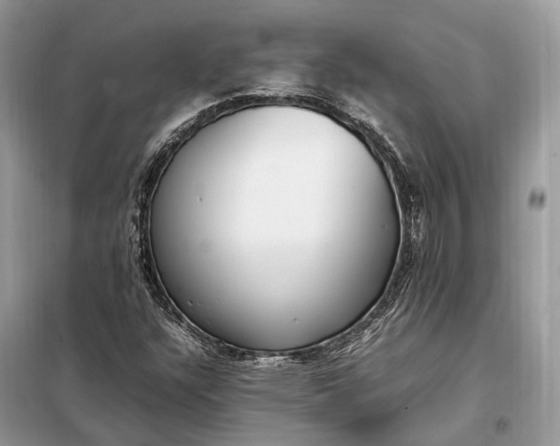 X0000099231304200805081548