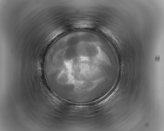 X0000099231305200805081548