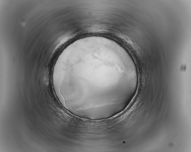 X0000099231306200805081548