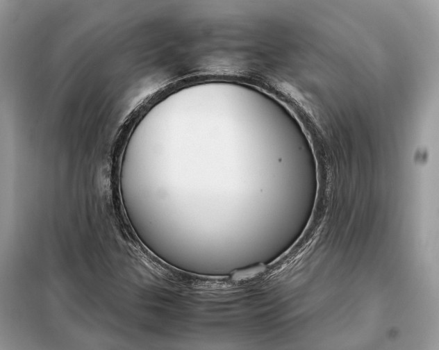 X0000099231307200805081548