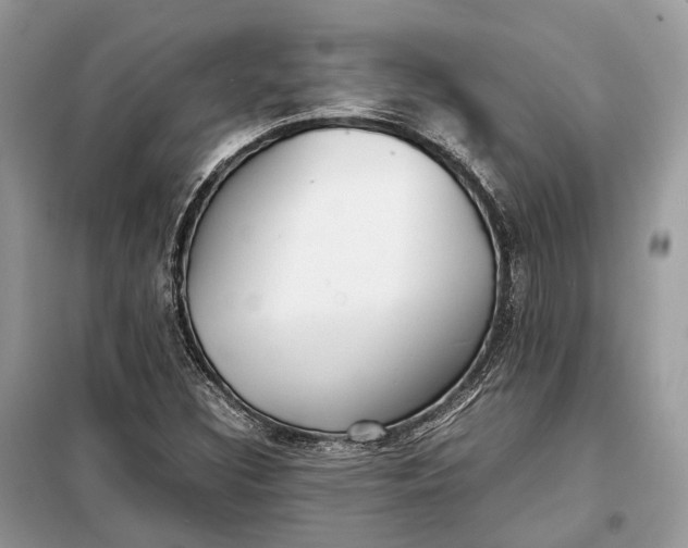 X0000099231308200805081548