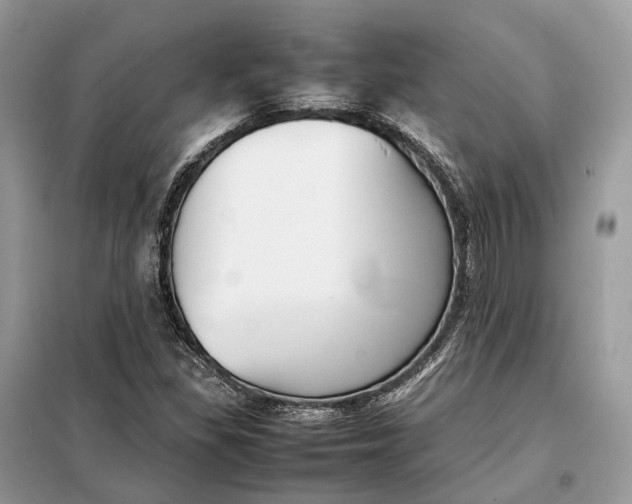 X0000099231309200805081548