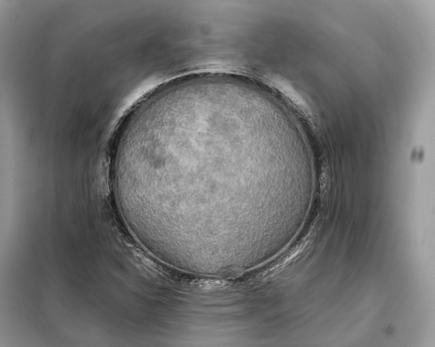 X0000099231310200805081548