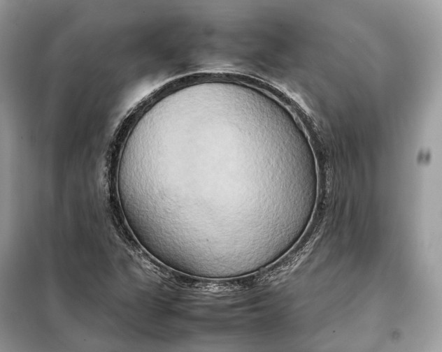 X0000099231311200805081548